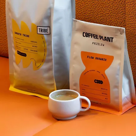 Tribe Old Town Krakow