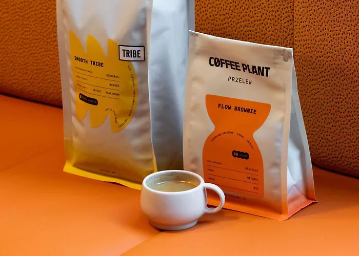 Tribe Old Town Krakow